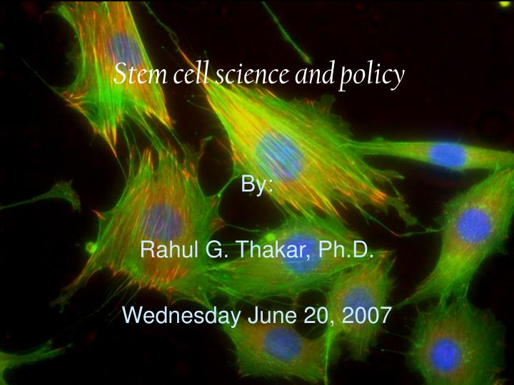 stem cell science and policy