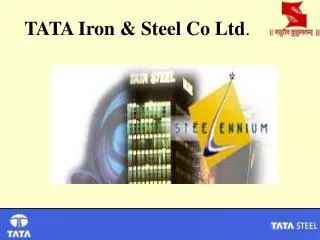TATA Iron &amp; Steel Co Ltd .