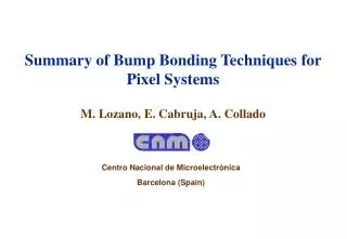 Summary of Bump Bonding Techniques for Pixel Systems