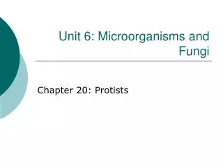 Unit 6: Microorganisms and Fungi