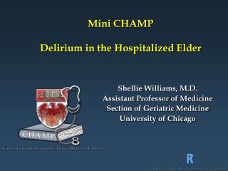Mini CHAMP Delirium in the Hospitalized Elder