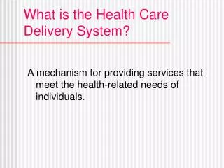 What is the Health Care Delivery System?