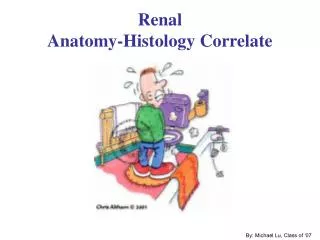 Renal Anatomy-Histology Correlate