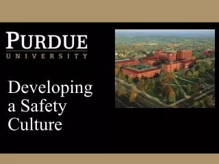 Developing a Safety Culture
