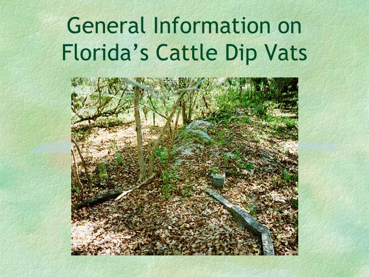 general information on florida s cattle dip vats