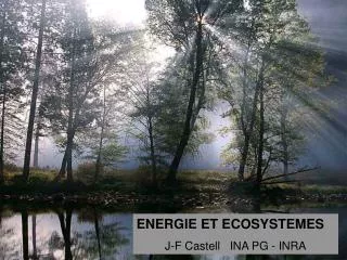 ENERGIE ET ECOSYSTEMES J-F Castell INA PG - INRA