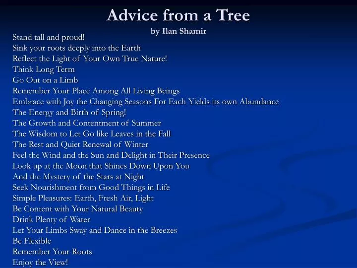 advice from a tree by ilan shamir