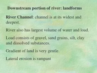 Downstream portion of river: landforms