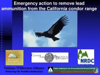 Emergency action to remove lead ammunition from the California condor range