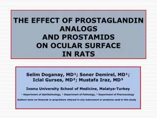 THE EFFECT OF PROSTAGLANDIN ANALOGS AND PROSTAMIDS ON OCULAR SURFACE IN RATS
