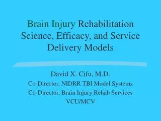 Brain Injury Rehabilitation Science, Efficacy, and Service Delivery Models