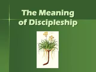 The Meaning of Discipleship