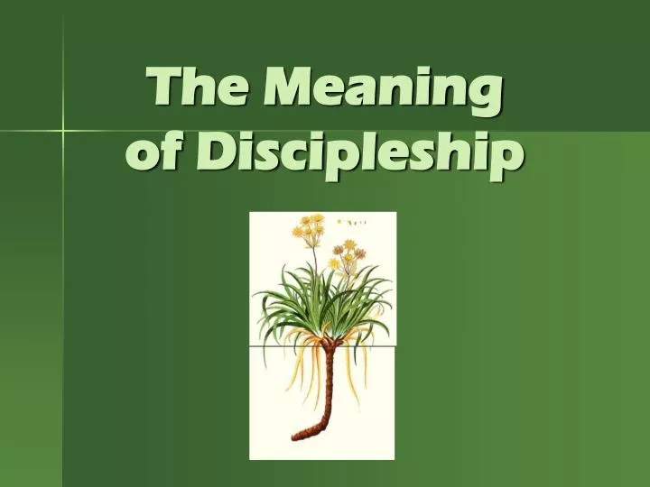 the meaning of discipleship