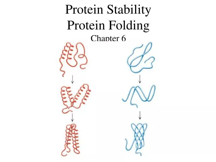 protein stability protein folding chapter 6