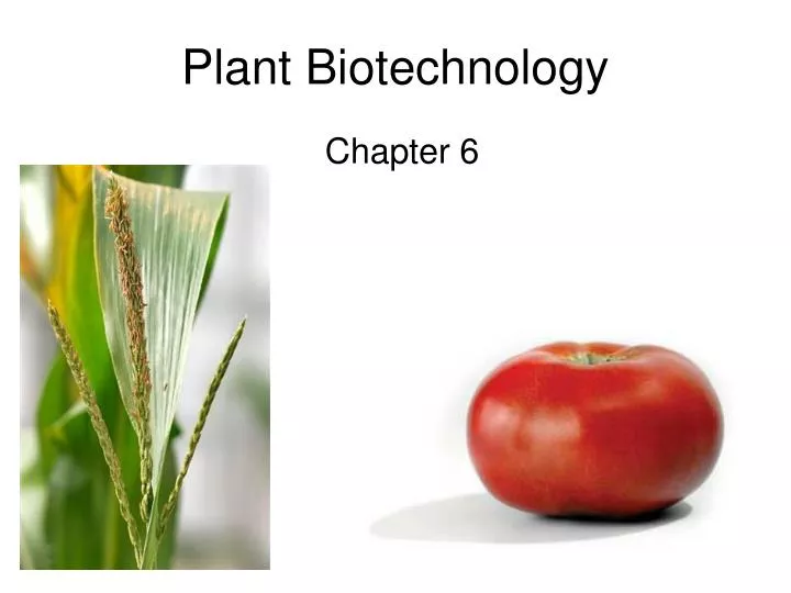 plant biotechnology