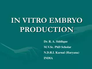 IN VITRO EMBRYO PRODUCTION