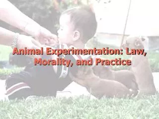Animal Experimentation: Law, Morality, and Practice