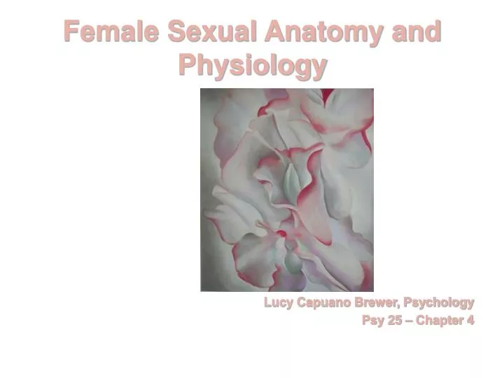 female sexual anatomy and physiology