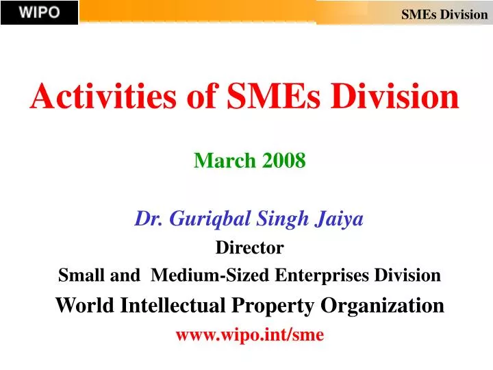 activities of smes division