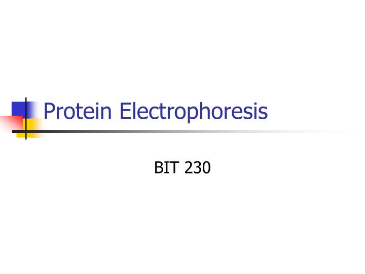 protein electrophoresis