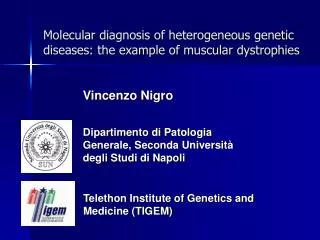 Molecular diagnosis of heterogeneous genetic diseases: the example of muscular dystrophies