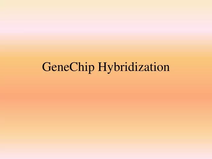 genechip hybridization