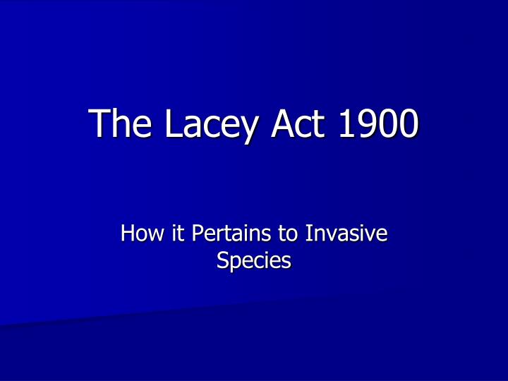 the lacey act 1900
