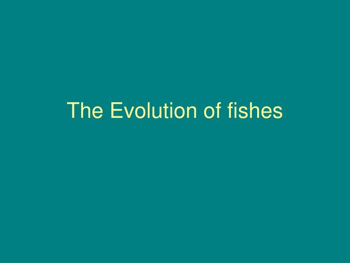 the evolution of fishes