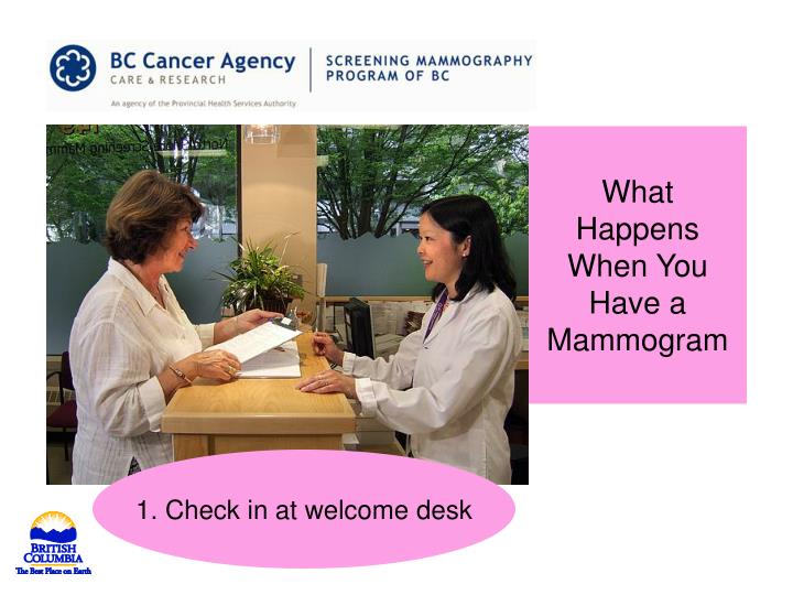 what happens when you have a mammogram