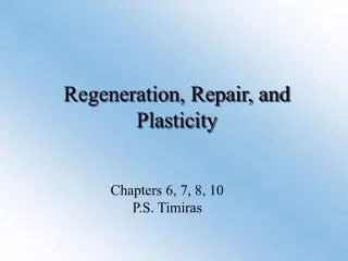 Regeneration, Repair, and Plasticity