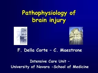 Pathophysiology of brain injury