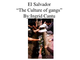 El Salvador “The Culture of gangs” By:Ingrid Cantu