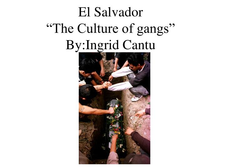 el salvador the culture of gangs by ingrid cantu