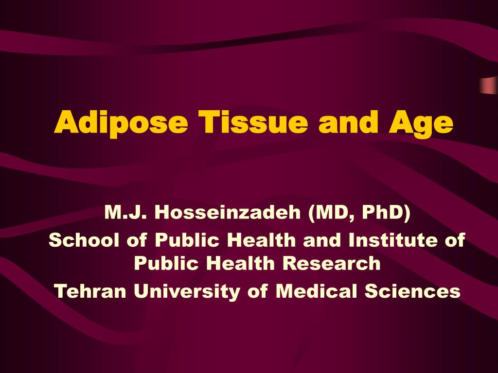 PPT - Adipose Tissue and Age PowerPoint Presentation, free download ...