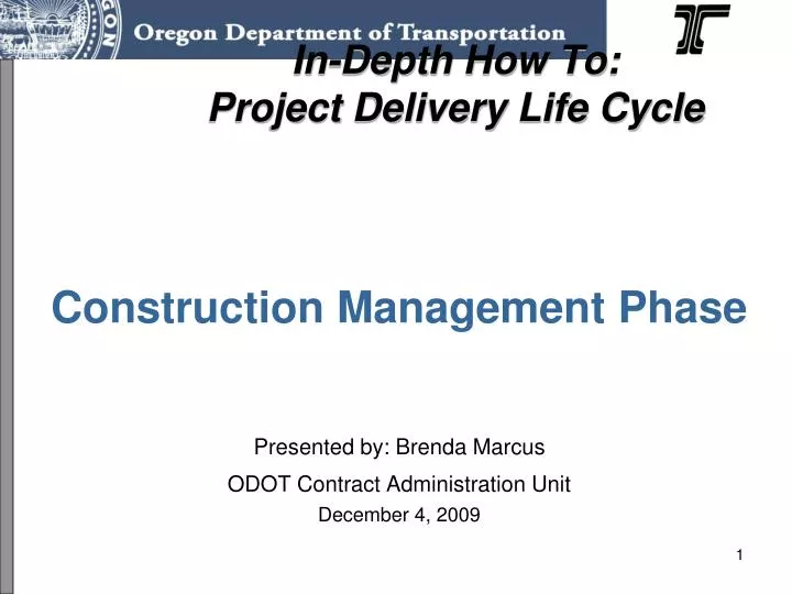 in depth how to project delivery life cycle