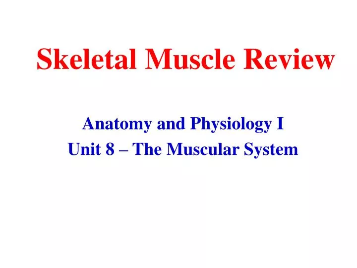 skeletal muscle review