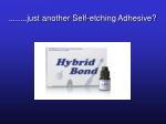 ........just another Self-etching Adhesive? - slide 1