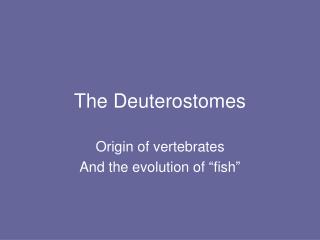The Deuterostomes