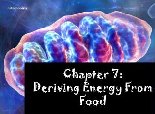 Chapter 7: Deriving Energy From Food