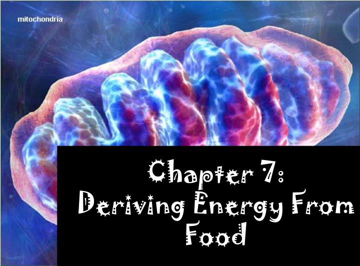 chapter 7 deriving energy from food