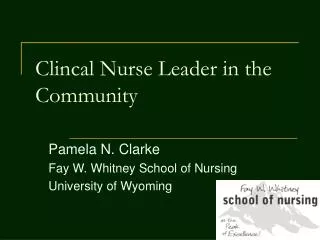 Clincal Nurse Leader in the Community