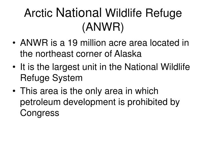 arctic national wildlife refuge anwr