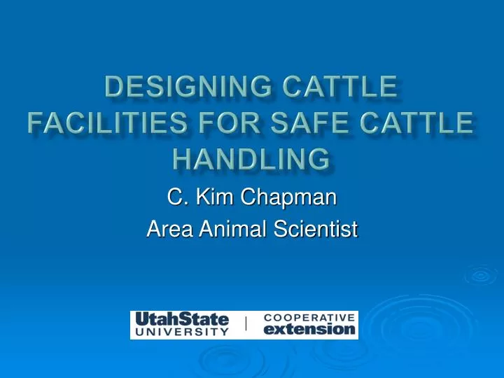 designing cattle facilities for safe cattle handling