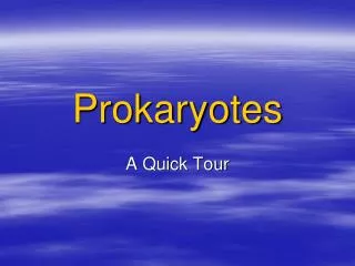 Prokaryotes