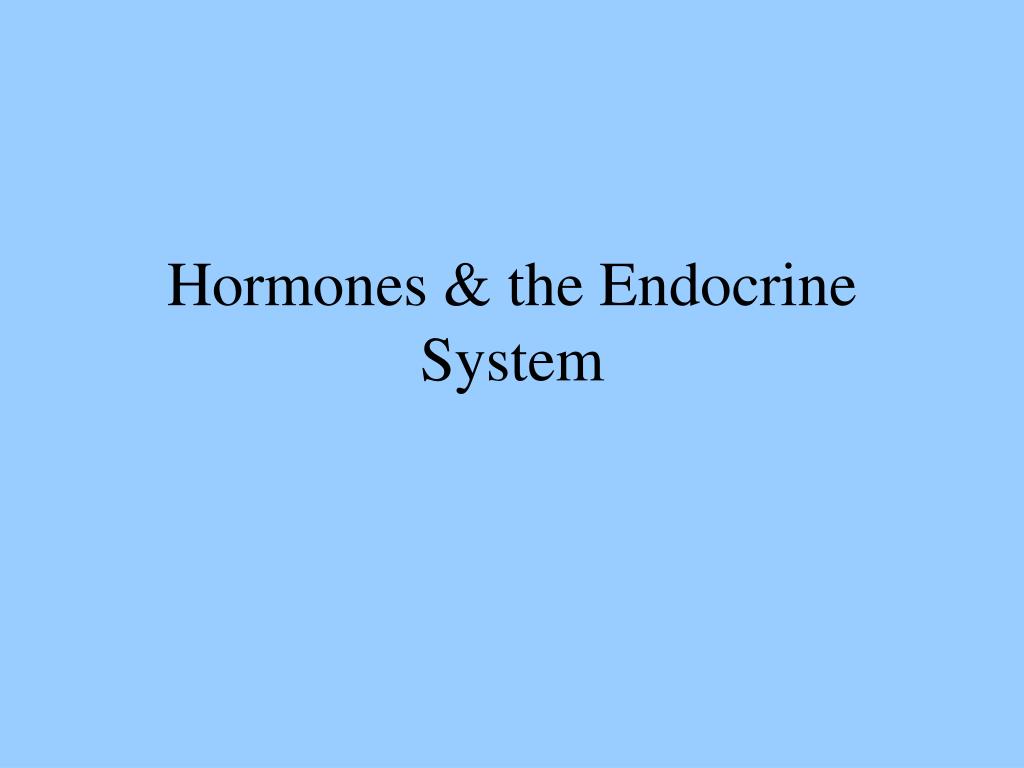 PPT - Hormones & the Endocrine System PowerPoint Presentation, free ...