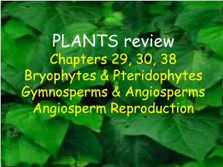PLANTS review Chapters 29, 30, 38 Bryophytes &amp; Pteridophytes Gymnosperms &amp; Angiosperms Angiosperm Reproduction