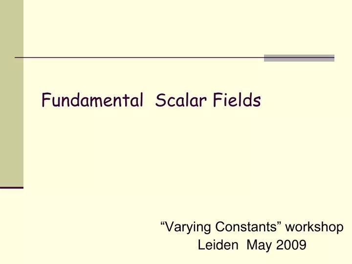 varying constants workshop leiden may 2009