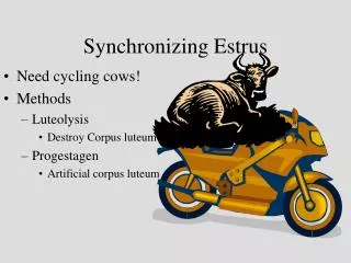 Synchronizing Estrus