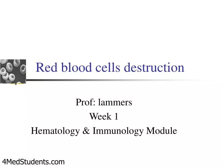 red blood cells destruction