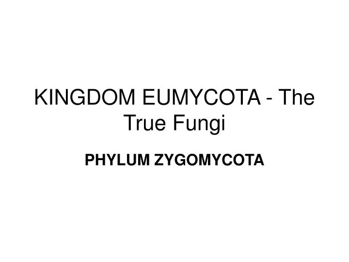 kingdom eumycota the true fungi